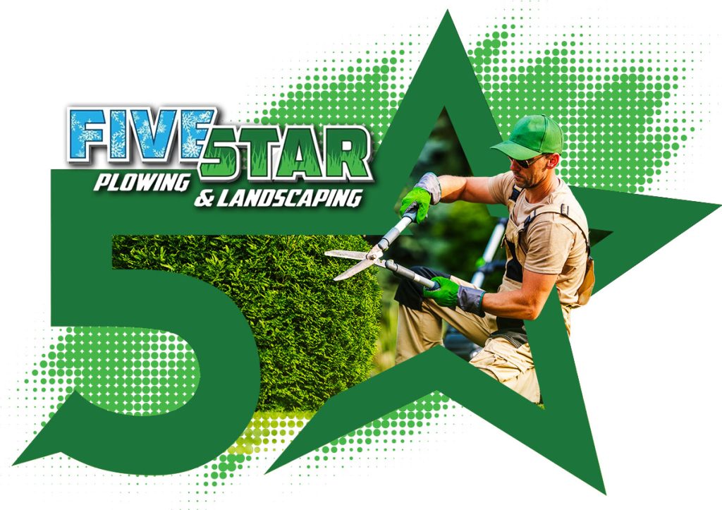 Weed Removal In Lackawanna New York
